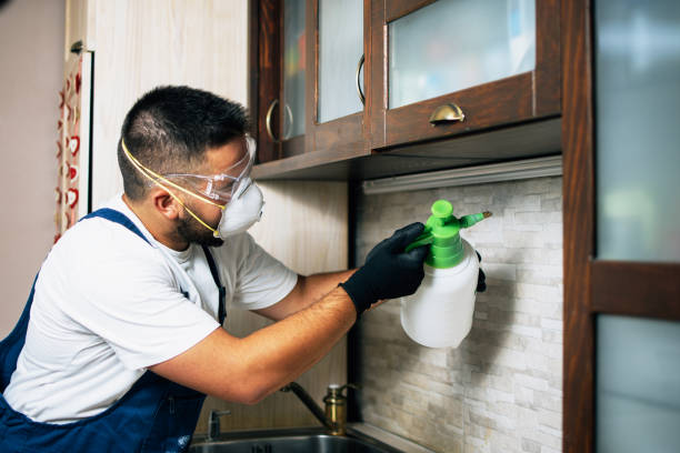 Best Flea Control Services  in Spring Grove, PA