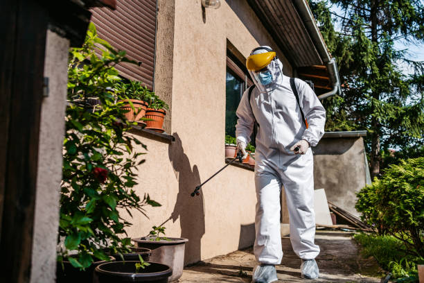 Best Affordable Pest Control Services  in Spring Grove, PA