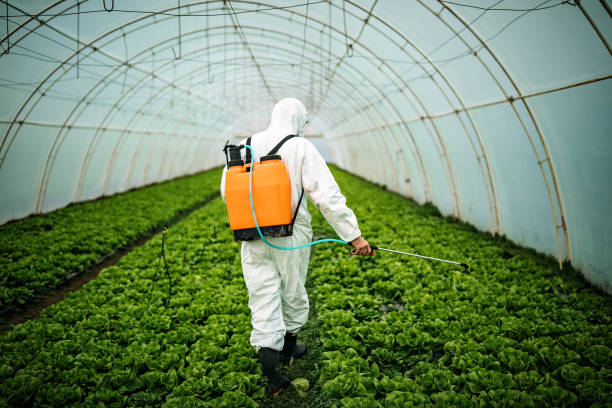 Best Emergency Pest Control  in Spring Grove, PA