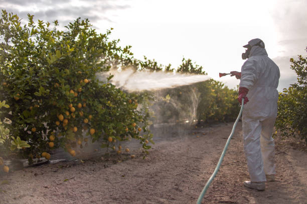Best Local Pest Control Services  in Spring Grove, PA