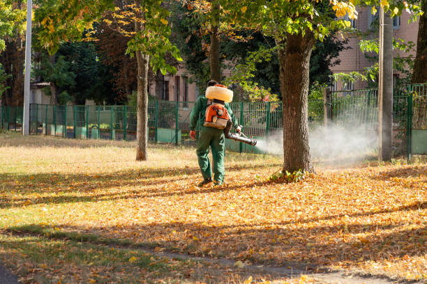 Best Pest Removal Services  in Spring Grove, PA