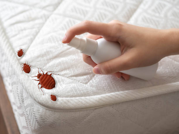 Insect Control in Spring Grove, PA